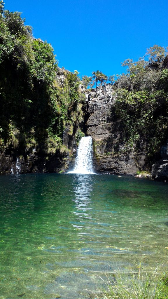 Rei do Prata - Cavalcante GO - Chapada dos Veadeiros